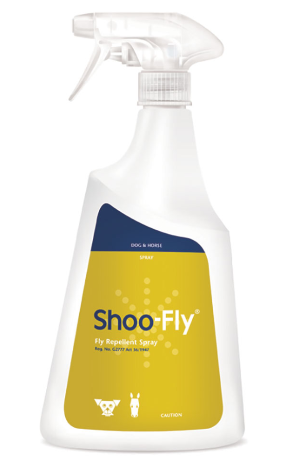 Shoofly