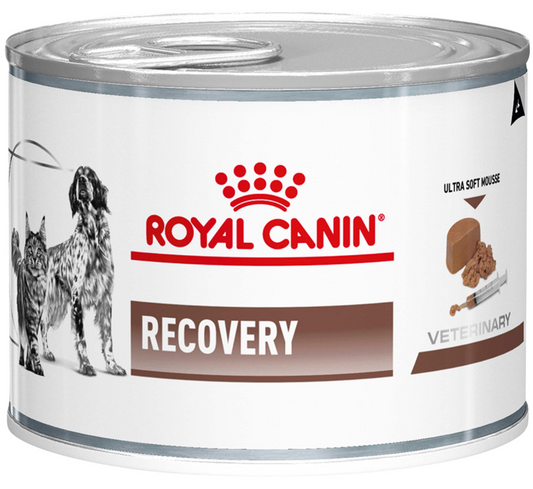 Royal Canin Recovery Wet Dog Food