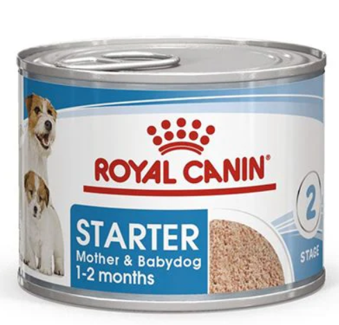 Royal Canin Starter Mousse Wet Dog Food