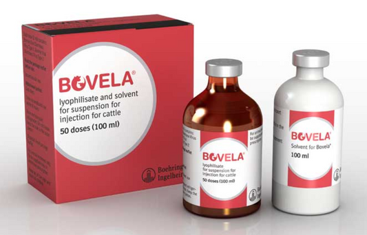 Bovela