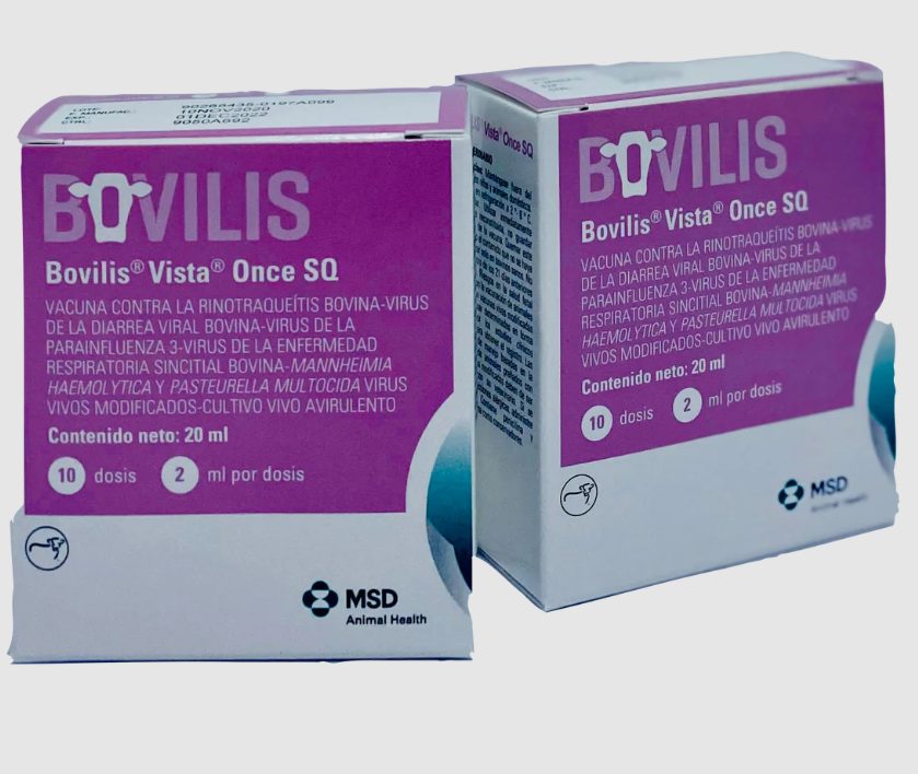 Bovilis Vista Once SQ