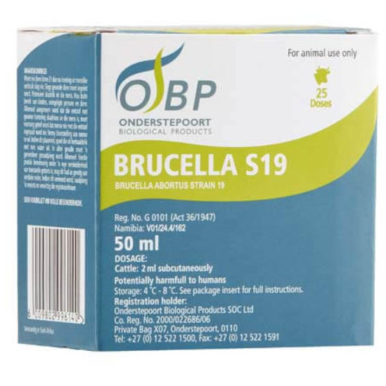 Brucella Abortus S19