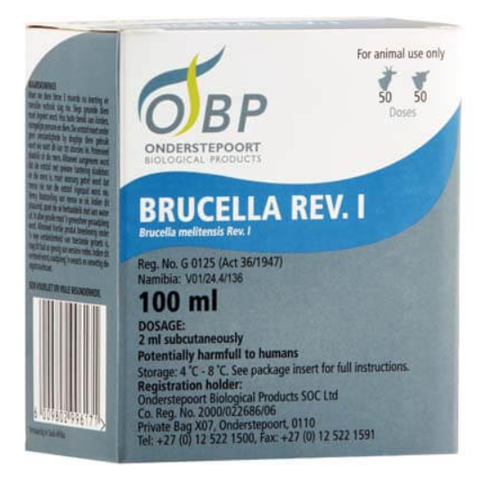 Brucella Rev 1