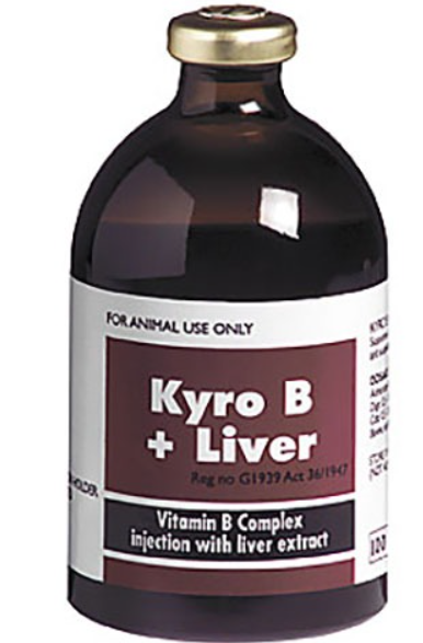 Kyro B + liver