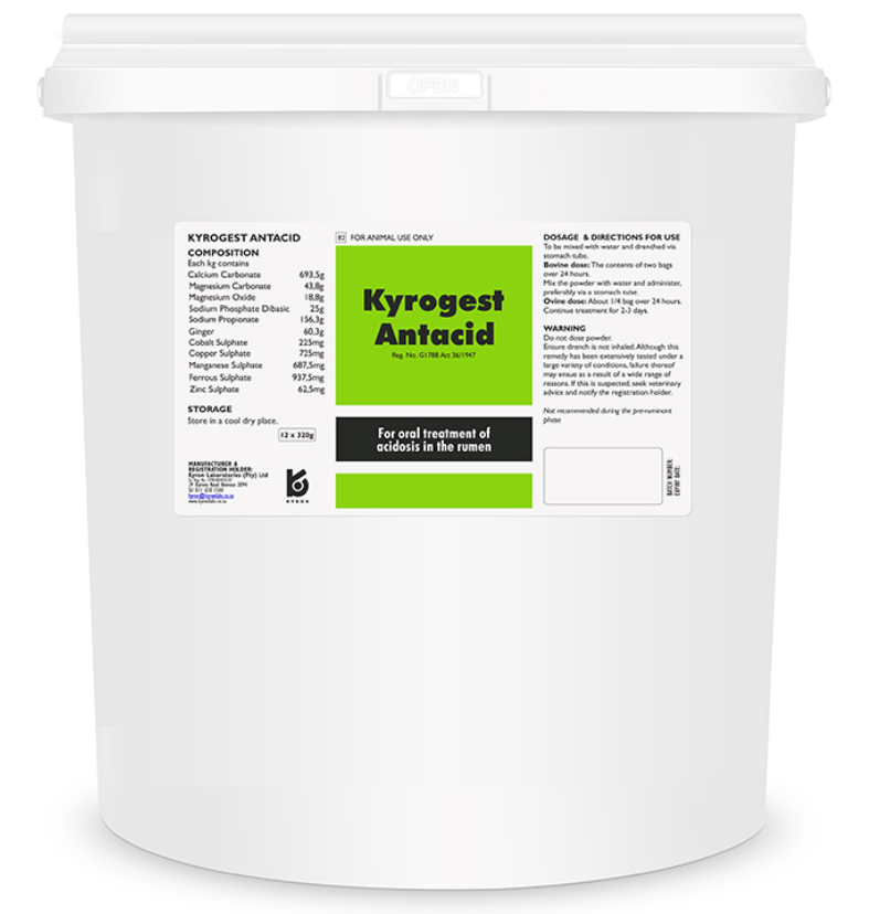 Kyrogest Antacid