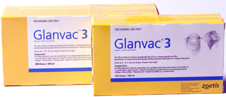 Glanvac 3
