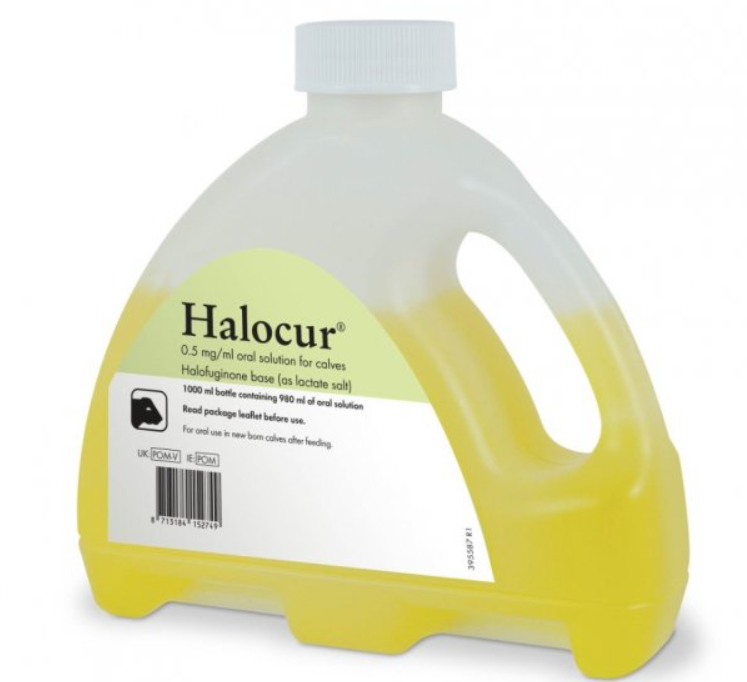 Halocur