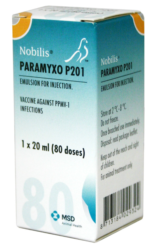 Nobilis Paramyxo