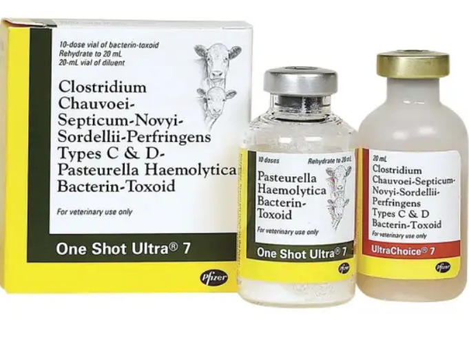 One Shot Ultra 7
