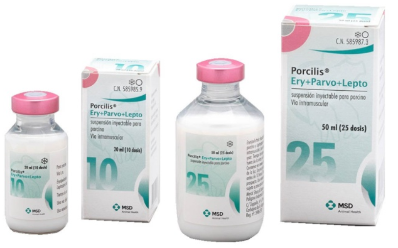 Porcillis ERY + Parvo + Leptospirosis