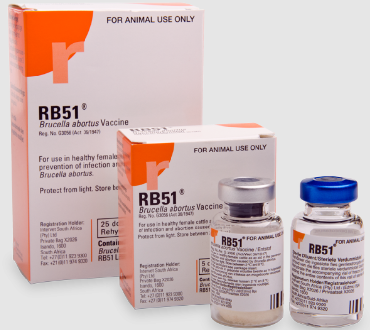 Brucella RB51