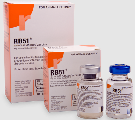 Brucella RB51