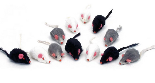Assorted Mice Cat Toy