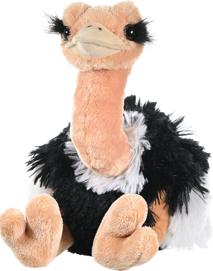 Ostrich Plush Toy