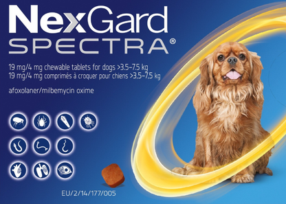 Nexgard Spectra for Dogs 3.6-7.5kg