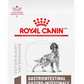 Royal Canin Prescription Gastro Intestinal Dry Dog Food