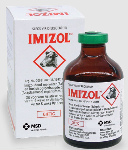 Imizol