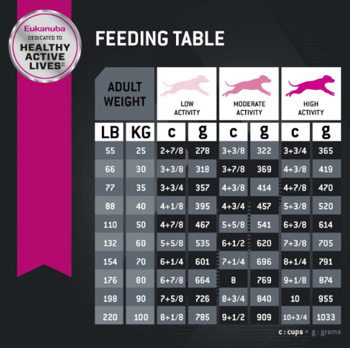 Eukanuba Adult Large Breed Dry Dog Food