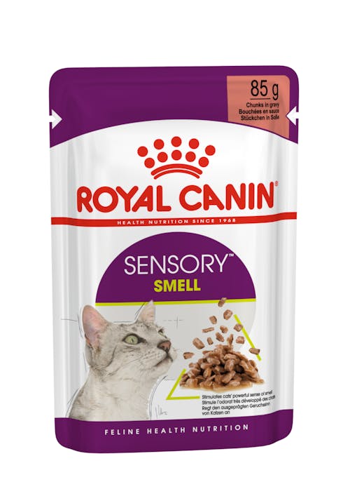 Royal Canin Feline Sensory Smell Chunks in Gravy Wet Cat Food