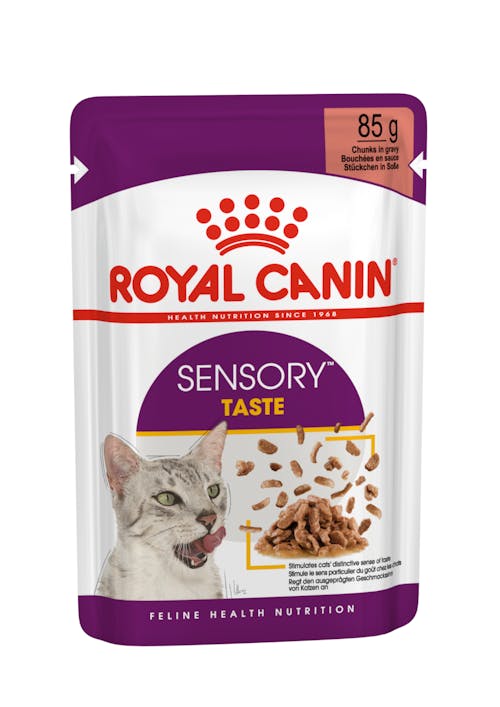 Royal Canin Feline Sensory Taste Chunks in Gravy Wet Cat Food