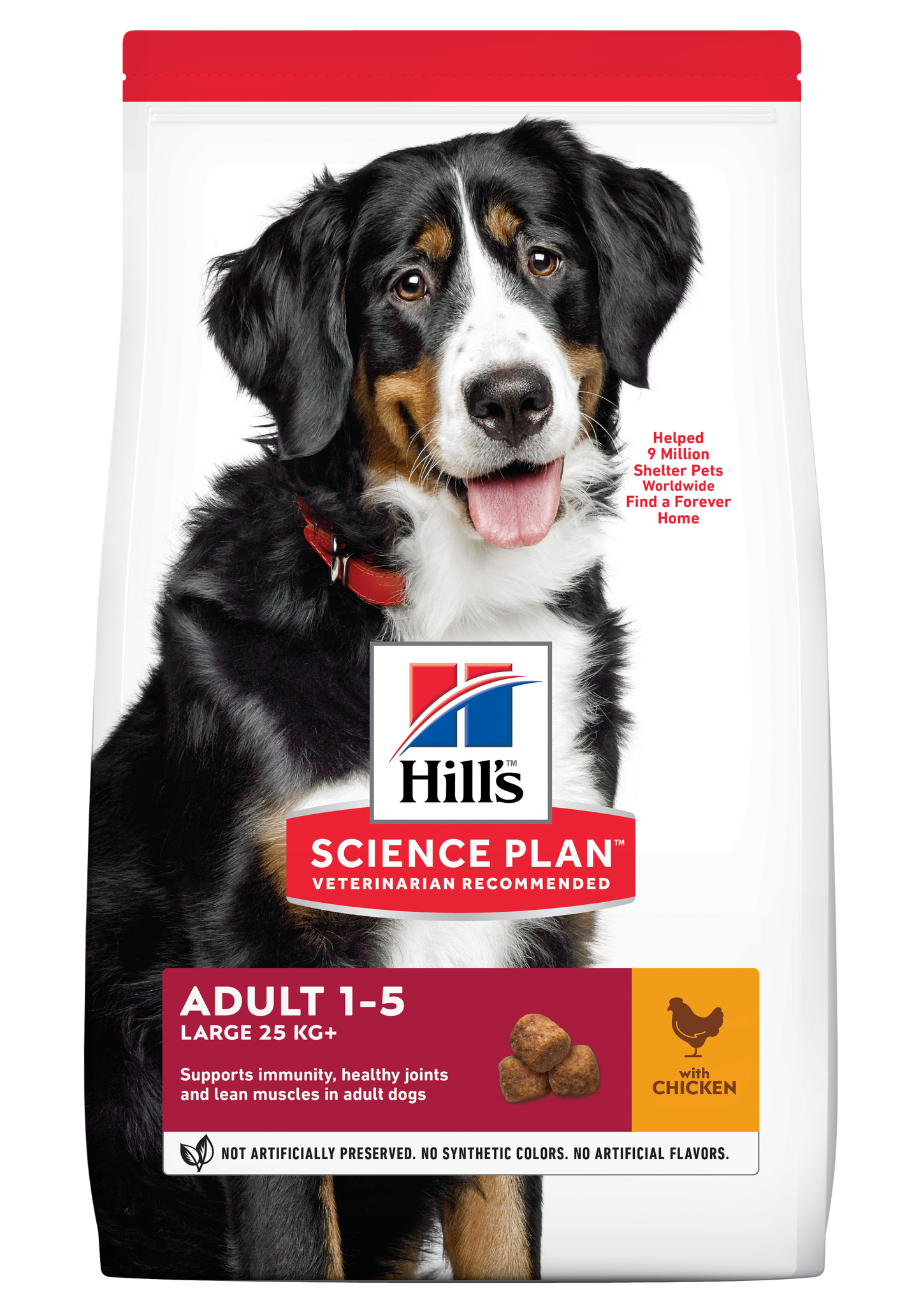 Hills Science Plan Adult Large Breed Dry Dog Food