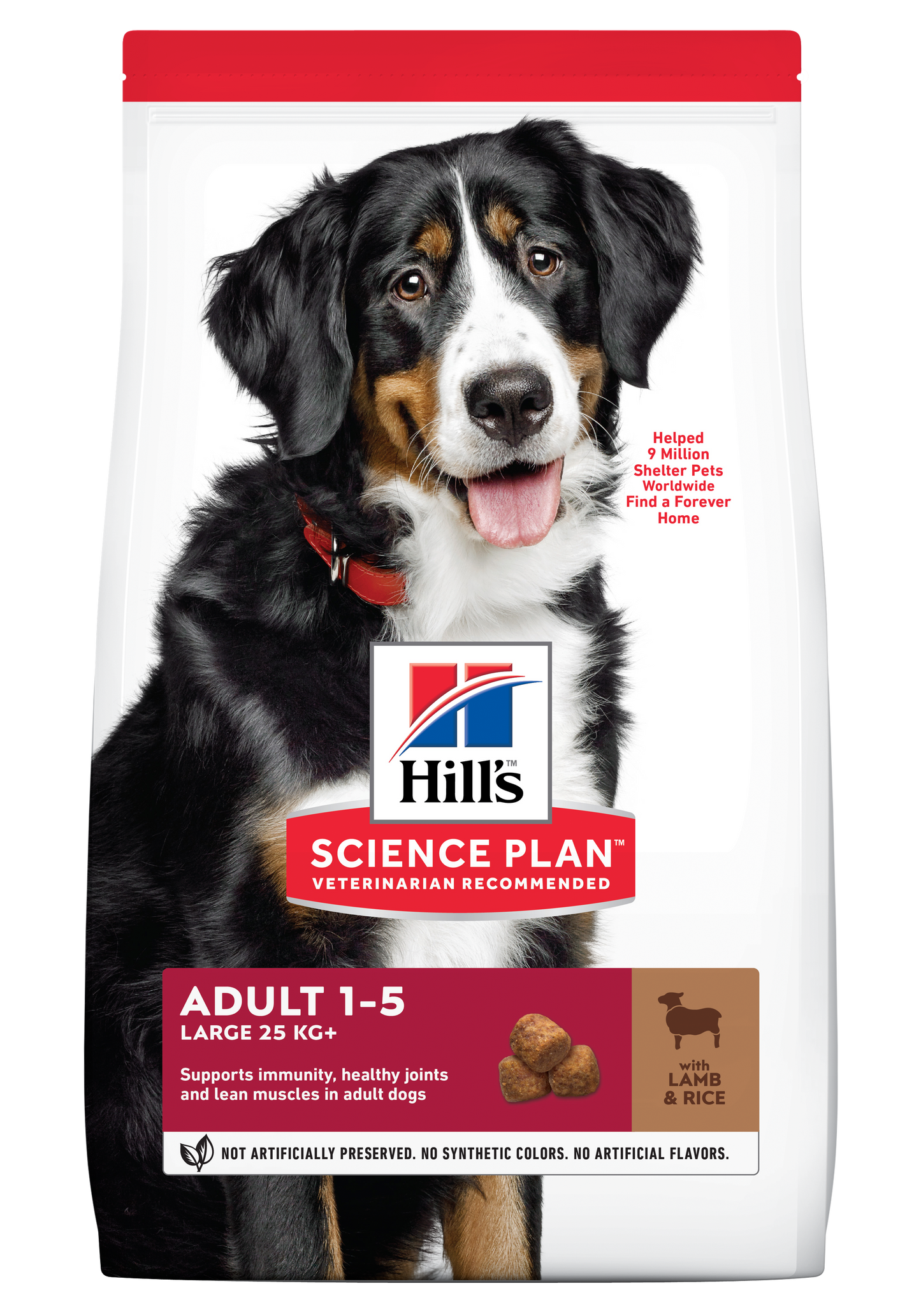 Hills Science Plan Adult Large Breed Dry Dog Food-Lamb & Rice Flavour