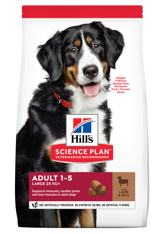 Hills Science Plan Adult Large Breed Dry Dog Food-Lamb & Rice Flavour