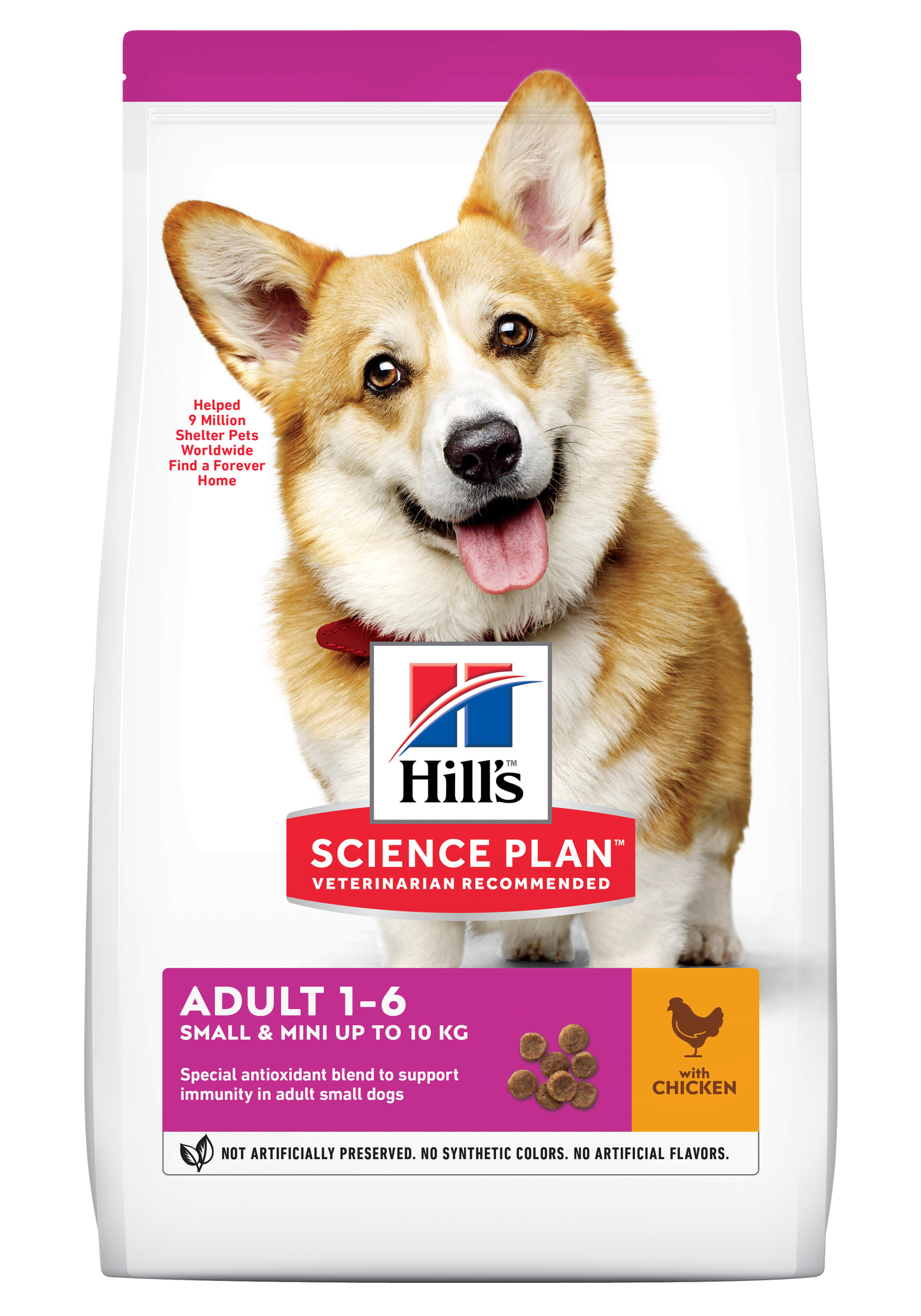 Hills Science Plan Adult Small & Mini Dry Dog Food