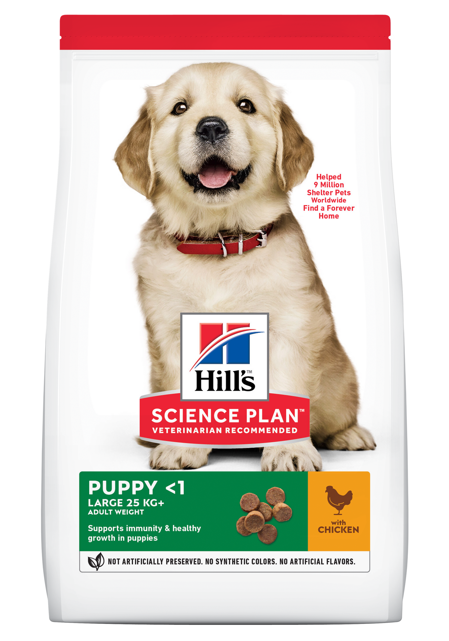 Hills Science Plan Puppy Large Breed Dry Food