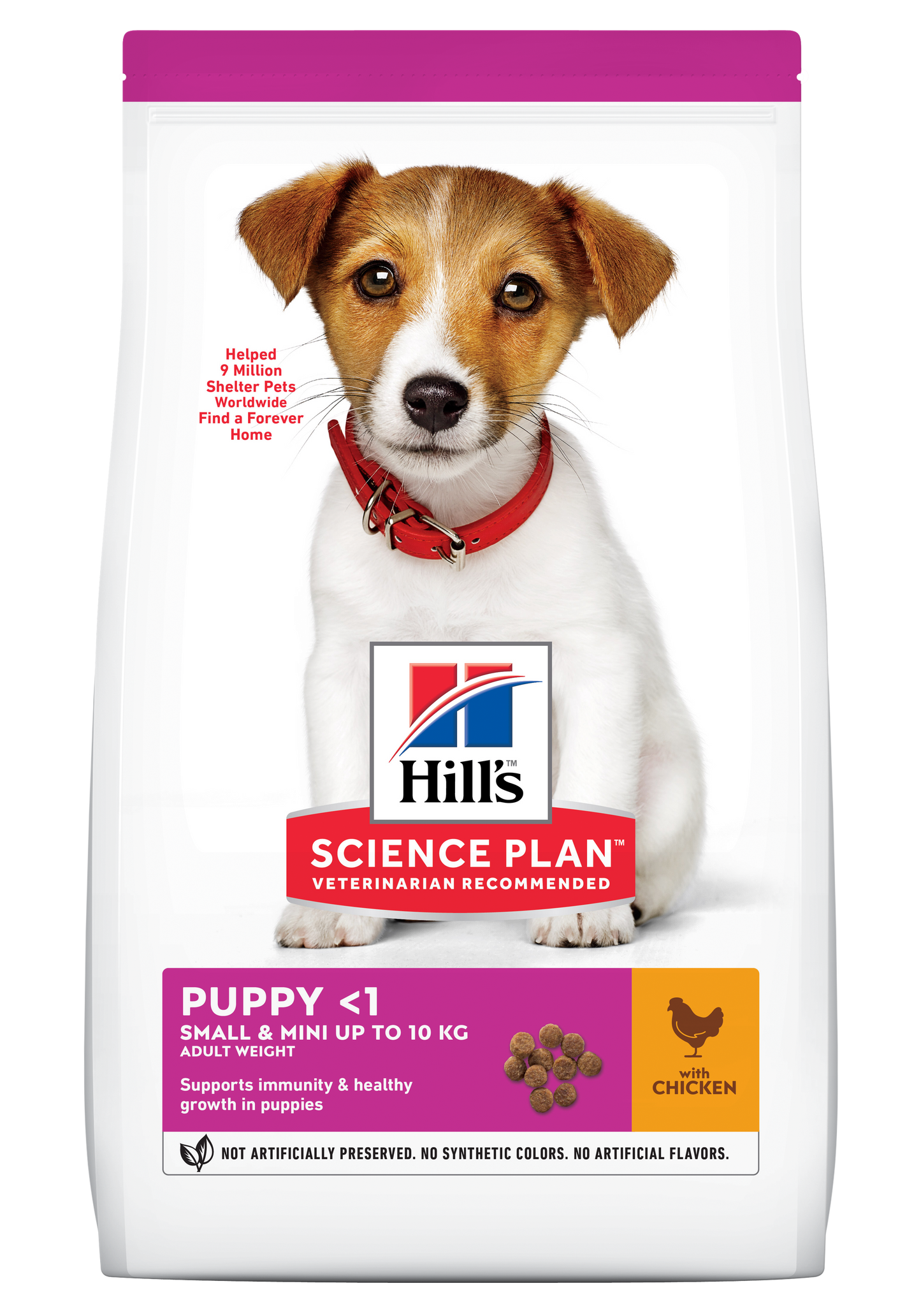 Hills Science Plan Puppy Small and Mini Breed Dry Dog Food